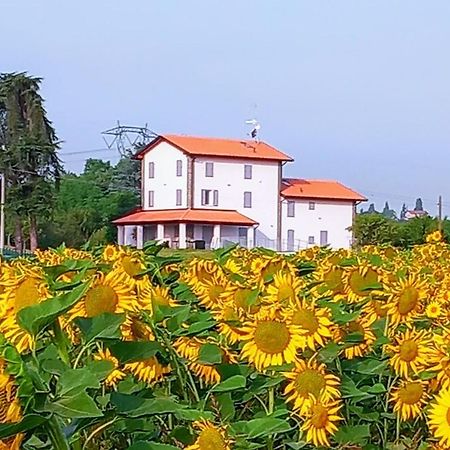 La Collinetta B&B Crespellano Exterior foto